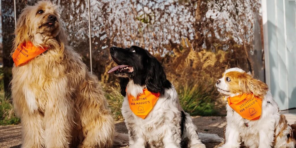 Mutt Strut for Maggie’s